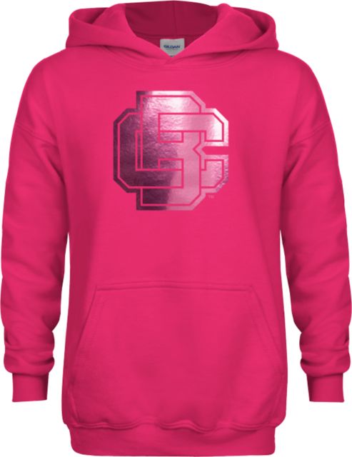 Bethune Cookman Youth Fleece Hoodie Primary Mark  Foil - ONLINE ONLY